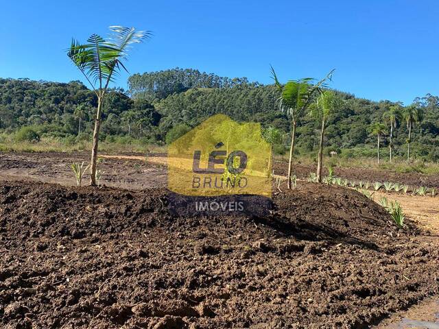 #1288 - Área para Venda em Urussanga - SC - 2
