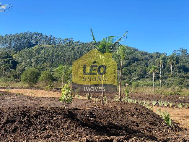 #1288 - Área para Venda em Urussanga - SC - 3