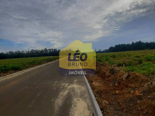 #1298 - Área para Venda em Criciúma - SC - 3