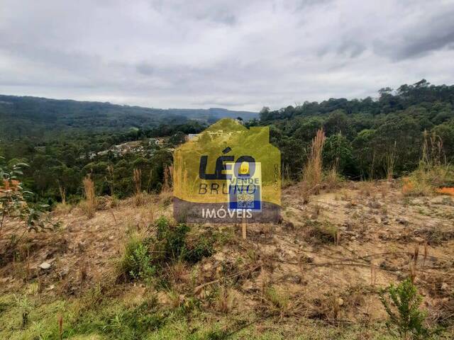 #1419 - Área para Venda em Siderópolis - SC - 1