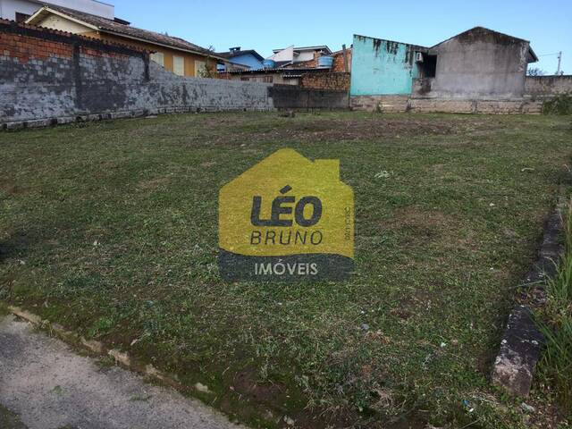 #1612 - Área para Venda em Siderópolis - SC - 1