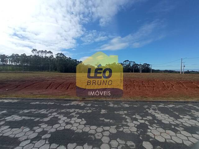 #2231 - Área para Venda em Criciúma - SC - 1