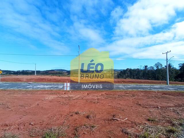 #2231 - Área para Venda em Criciúma - SC - 2
