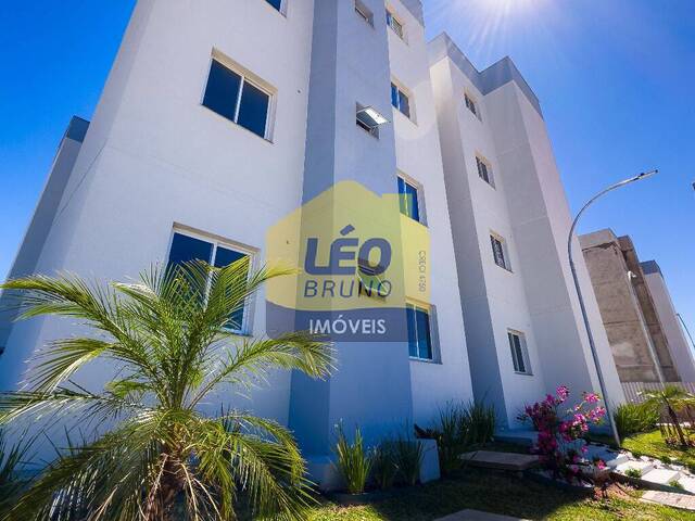 #2338 - Apartamento para Venda em Criciúma - SC - 1