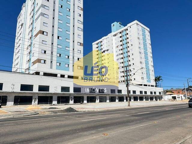 #2382 - Apartamento para Venda em Criciúma - SC - 1