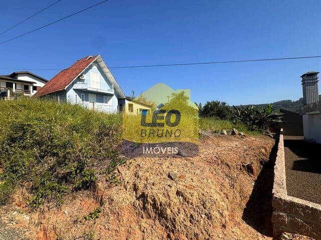#2449 - Área para Venda em Siderópolis - SC - 2