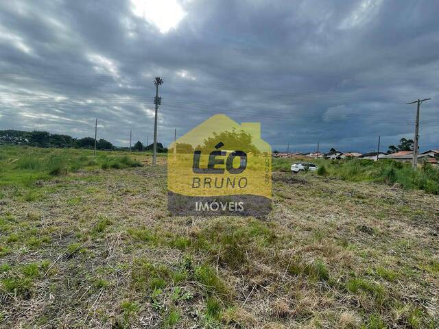 #2491 - Área para Venda em Forquilhinha - SC - 2