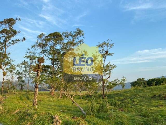 #2502 - Área para Venda em Nova Veneza - SC - 2