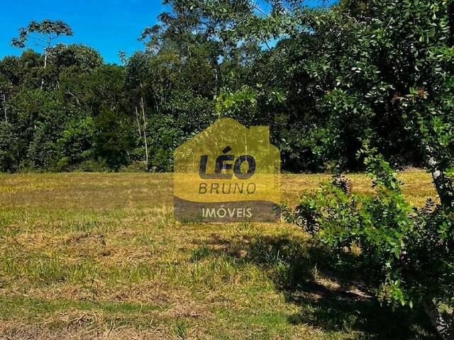  para  em  - 2
